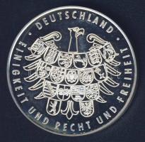 Németország 2006. "Labdarúgó VB - München" Ag emlékérem 25g T:PP