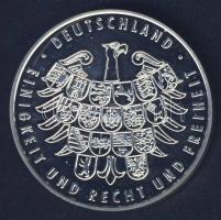 Németország 2006. "Labdarúgó VB - Hannover" Ag emlékérem 25g T:PP