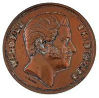 Ausztria 1856. Wilhelm Haidinger bronz emlékérem. Szign.: Konrad Lange (64mm) T:XF patina Austria 1856. Wilhelm Haidinger bronze commemorative medallion. Sign.: Konrad Lange (64mm) C:XF patina