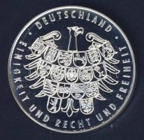 Németország 2006. "Labdarúgó VB - Berlin" Ag emlékérem 25g T:PP