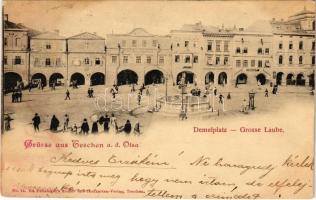 1900 Cieszyn, Teschen; Demelplatz, Grosse Laube / square, shops of Kutzer & Co., S. Silberstein, Carl Prochaska. Ed. Feitzinger's Kunst- und Postkarten Verlag No. 14. (fl)