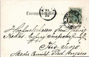 1902 Cieszyn, Teschen; Schlossturm (Piastenthurm) u. St. Nikolaus-Kapelle / castle tower, church. Ve...