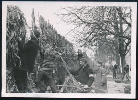 cca 1944-1945 Bp., Budai rakpart, munkaszolgálatosok kukoricaszárakat kötöznek a korláthoz álcázásnak, fotó, 12,5x8,5 cm