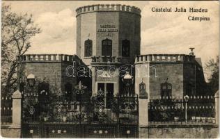 Campina, Castelul Julia Hasdeu / castle (ázott sarkak / wet corners)