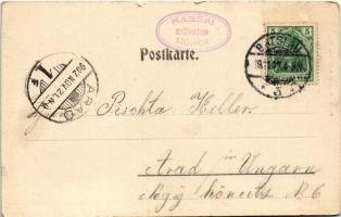 1902 Wroclaw, Breslau; Liebichshöhe. Art Nouveau, Floral (EK)