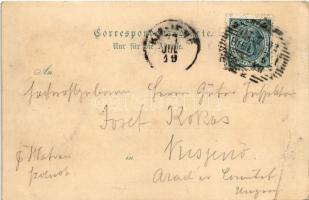 1902 Bielsko-Biala, Bielitz; Gruss aus dem Zigeunerwald. Restaurant Bloch, Herdermühle, Lawn tennis ...