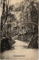 1918 Gyertyánliget, Polyana-Gyertyánliget, Kabola Polyána, Kobyletska Poliana (Máramaros, Maramures); fürdő részlet / spa, bath (EK)