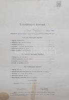 Leányiskolai rajztanárnői oklevél Szinyei Merse Pál (1845-1920) festőművész, művészeti igazgató, Pil...