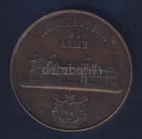 Románia 1863. "Timpul Dominei Fegyvergyár alapítása" Br emlékérem (51mm) T:2/3 R!