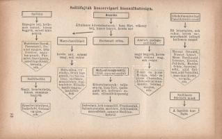 Osztróvszky Antalné, E. Németh Ágnes:

A szőlő és must feldolgozásának új irányai.

Budapest, [1...