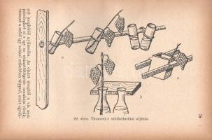 Osztróvszky Antalné, E. Németh Ágnes:

A szőlő és must feldolgozásának új irányai.

Budapest, [1...