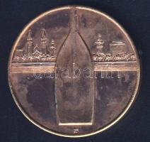 1987. "Szegedi Nemzetközi Regatta" Br emlékérem T:2