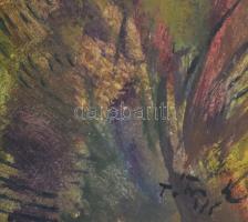 Tóth Ernő (1949-): Szabadban (hölgyek kutyákkal), 1985. Olaj, farost. Jelzett. Hátoldalon Tóth Ernő ...