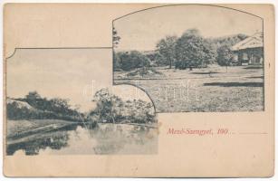 1910 Mezőszengyel, Sanger; kúria, villa, folyópart. Dunky Fivérek cs. és kir. udv. fényképészek kiadása / villa, river bank (EK)