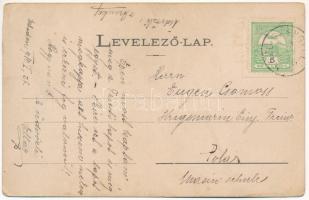 1910 Mezőszengyel, Sanger; kúria, villa, folyópart. Dunky Fivérek cs. és kir. udv. fényképészek kiad...