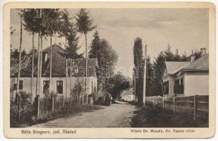 1932 Oláhszentgyörgy, Sangeorgiul Roman, Sangeorz-Bai; Vilele Dr. Monda, Dr. Tanco / villák / villas (gyűrődések / creases)