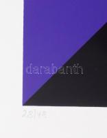 Josef Linschinger (1945-): Átlós kompozíció, 1994. Szitanyomat, papír. Jelzett. Számozott (28/48). 4...