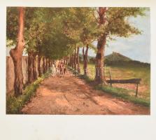 Rákóczi album. II. Rákóczi Ferenc és kurucai. A Pesti Napló előfizetőinek készült kiadás. Bp., é.n. ...