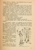 Tamási Áron: Szívbéli barátok. Ifjúsági regény. Bp., 1946, Révai, 125+3 p. Első kiadás. Kiadói félvá...