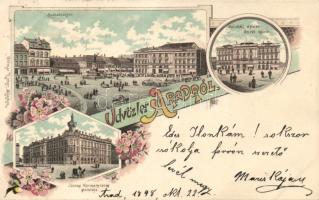 1898 Arad with theatre and agricultural administrative palace litho