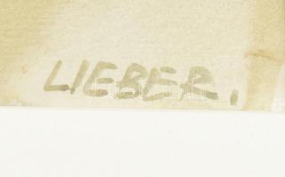 Lieber Éva (1932-2005): Tavaszi borulat. Akvarell, papír. Jelzett. Paszpartuban. 33x47,5 cm