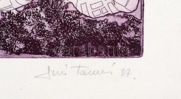 Soós Tamás (1955-): A város. Akvatinta, papír. Jelzett. Próbanyomat. Lap alján kisebb szakadással. 3...