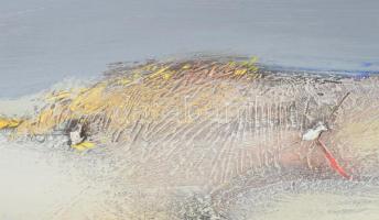 Csavlek András (1942-): Vízpart (Balaton), 1987. Olaj, farost, jelzett, fakeretben, 50×80 cm