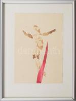 Csavlek András (1942-): Korpusz. Akvarell, diópác, papír, jelzett, üvegezett keretben, 21,5×14 cm