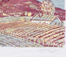 Csavlek András (1942-): Balatoni hegyek. Színes linómetszet, papír, jelzett, számozott (12/3). Plexi...