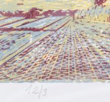 Csavlek András (1942-): Balatoni hegyek. Színes linómetszet, papír, jelzett, számozott (12/3). Plexi...