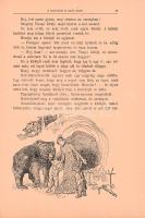 Mendelényi Béla: A csodaduda és egyéb mesék. Mühlbeck Károly eredeti rajzaival.
Budapest, 1905. Ath...