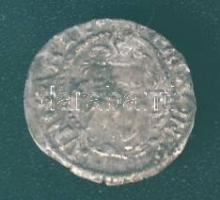 1547. Denár Ag I.Ferdinánd T:3