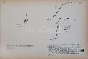 Curry, Manfred: Versenytaktika kérdés-felelet. Magyar nyelvre átdolgozta Papp László és Szemes Györg...