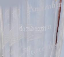 Fürdőpohár. cca 1880, osztrák, a marienbadi gyógykút köszörült képével díszítve, kis kopással, m: 10...