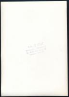 Gink Károly (1922-2002): A termő állásai, pecséttel jelzett fotó, 18×12,5 cm