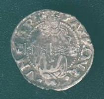 1555. Denár Ag I.Ferdinánd T:3