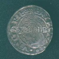 1555. Denár Ag I.Ferdinánd T:3