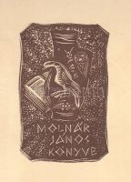 Divald Kornél:

Magyarország művészeti emlékei. A képanyagot összegyűjtötte és a szövegrészt írta ...