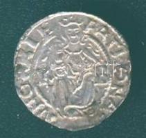 1550. Denár Ag I.Ferdinánd T:3