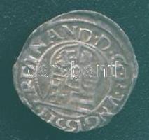 1551. Denár Ag I.Ferdinánd T:3