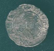 1550. Denár Ag I.Ferdinánd T:3