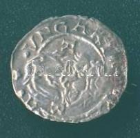 1563. Denár Ag I.Ferdinánd T:3