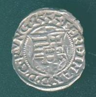 1555. Denár Ag I.Ferdinánd T:3