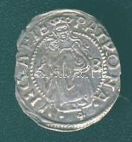 1555. Denár Ag I.Ferdinánd T:3