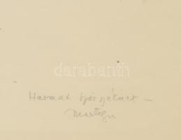 Martyn Ferenc (1899-1986): Fácán. Litográfia, papír, jelezve jobbra lent, Martyn Ferenc autográf ajá...