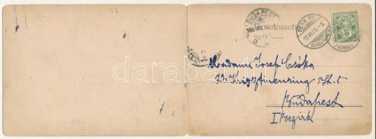 1905 Bern, Kornhausbrücke / bridge. 2-tiled folding panoramacard (bent til broken)