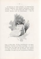 Segard, Achille:
Der Neid. Illustriert von Arthur Scheiner.
Budapest, [1904]. Gustav Grimms Verlag...