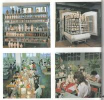 Hárs Éva: Zsolnay kerámia. A Janus Pannonius Múzeum Kiadványai 61. sz. Pécs, 1988, Janus Pannonius M...