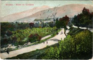 Bursa, Brousse; Route de Guemlek / Gemlik road (EK)