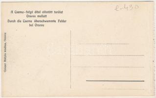 Orsova, A Cserna folyó által elöntött terület Orsova mellett. Grieser Mátyás kiadása / Durch die Cse...